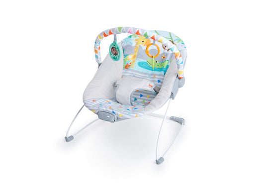 Bright Starts Baby Bouncer